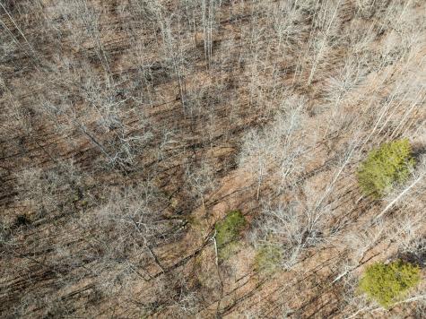 0 Hurricane Creek Road Linden TN 37096
