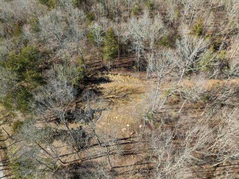 0 Hurricane Creek Road Linden TN 37096