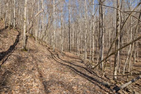 0 Hurricane Creek Road Linden TN 37096