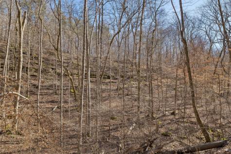 0 Hurricane Creek Road Linden TN 37096