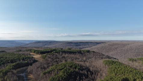 1085 Thunder Ridge Drive South Pittsburg TN 37380