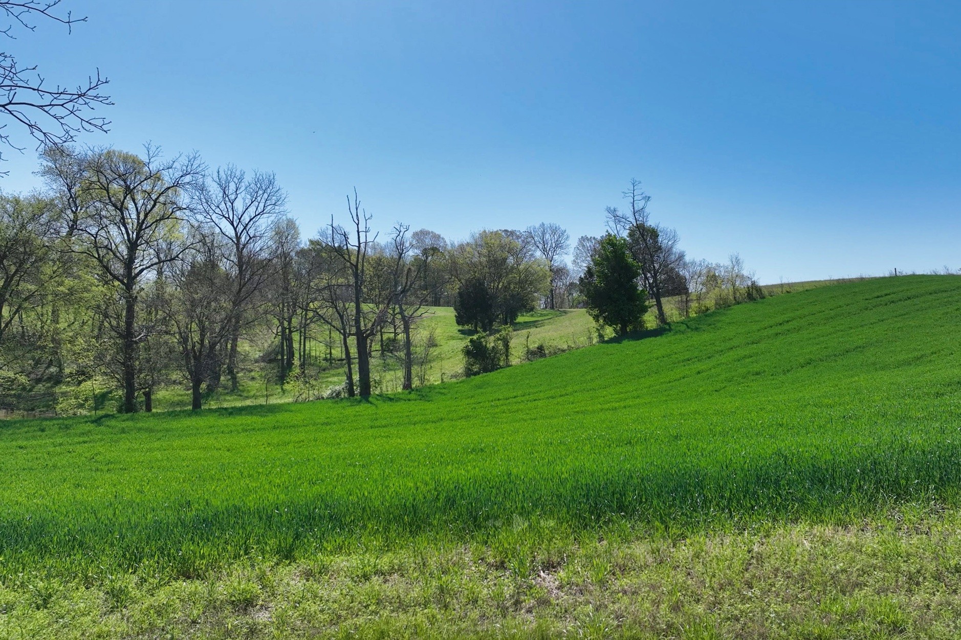 0 Mount Zion Road Springfield TN 37172