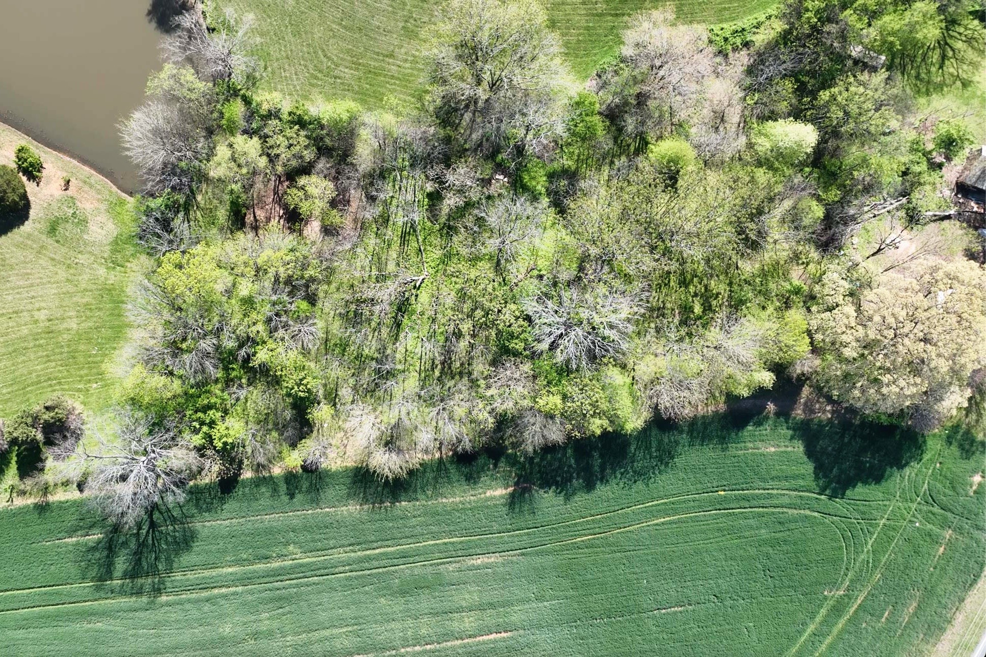 0 Mount Zion Road Springfield TN 37172