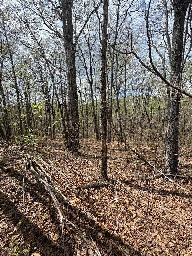 345 Drew Court Smithville TN 37166