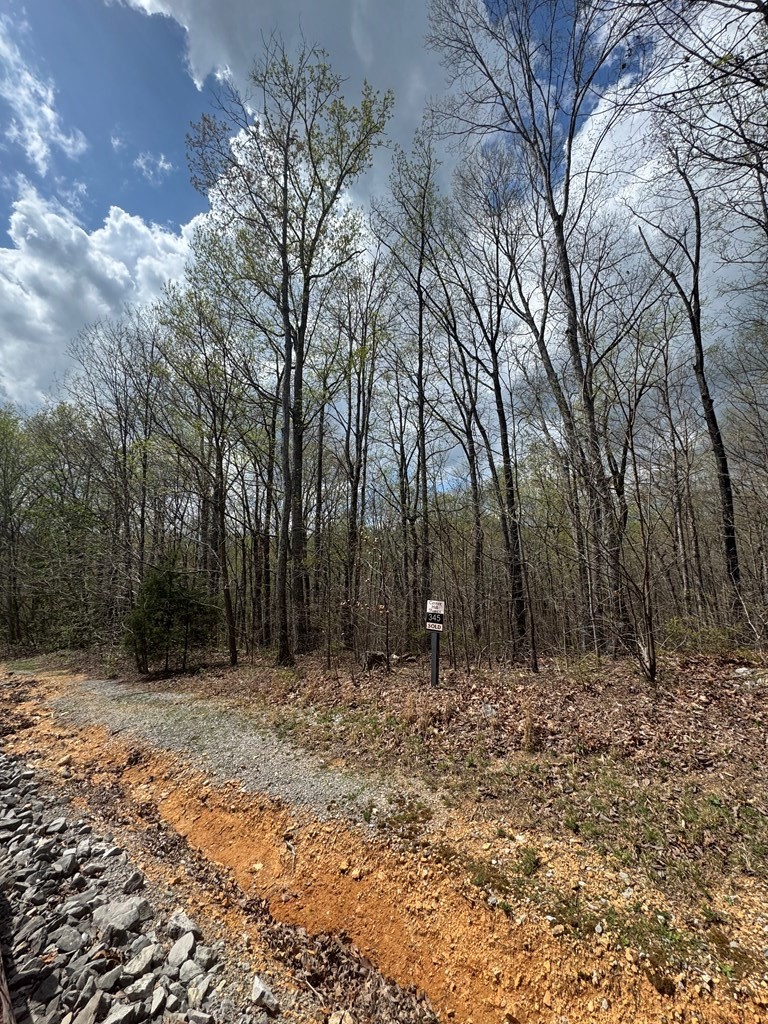 345 Drew Court Smithville TN 37166