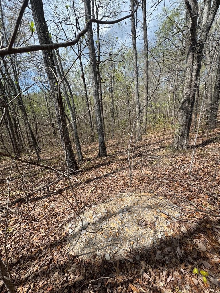 345 Drew Court Smithville TN 37166