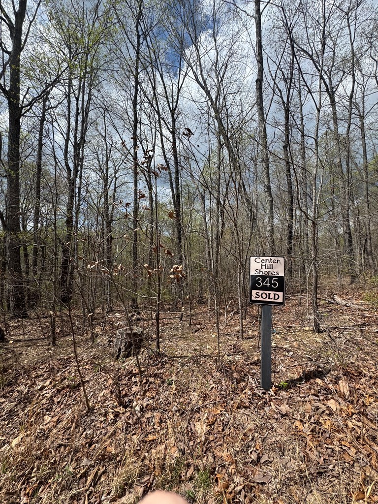345 Drew Court Smithville TN 37166