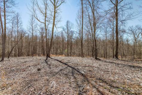 325 Whiskey Way Jasper TN 37347