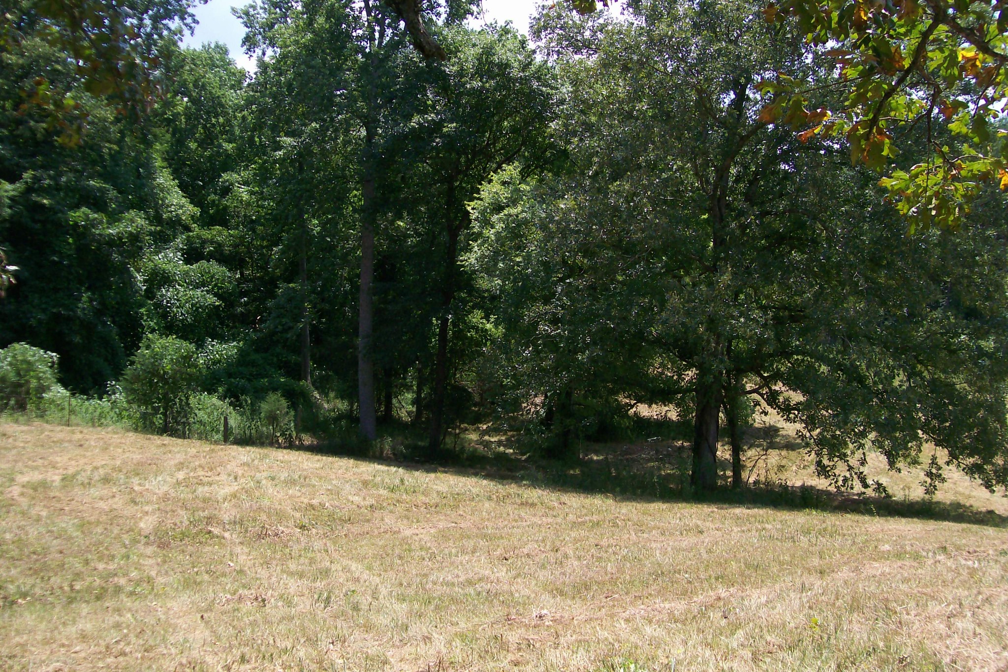 0 Sparkmantown Road Rock Island TN 38581