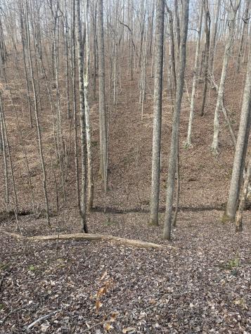 0 Sugar Tree Knob Road Liberty TN 37095