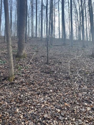 0 Sugar Tree Knob Road Liberty TN 37095