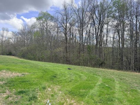 0 Sugar Tree Knob Road Liberty TN 37095