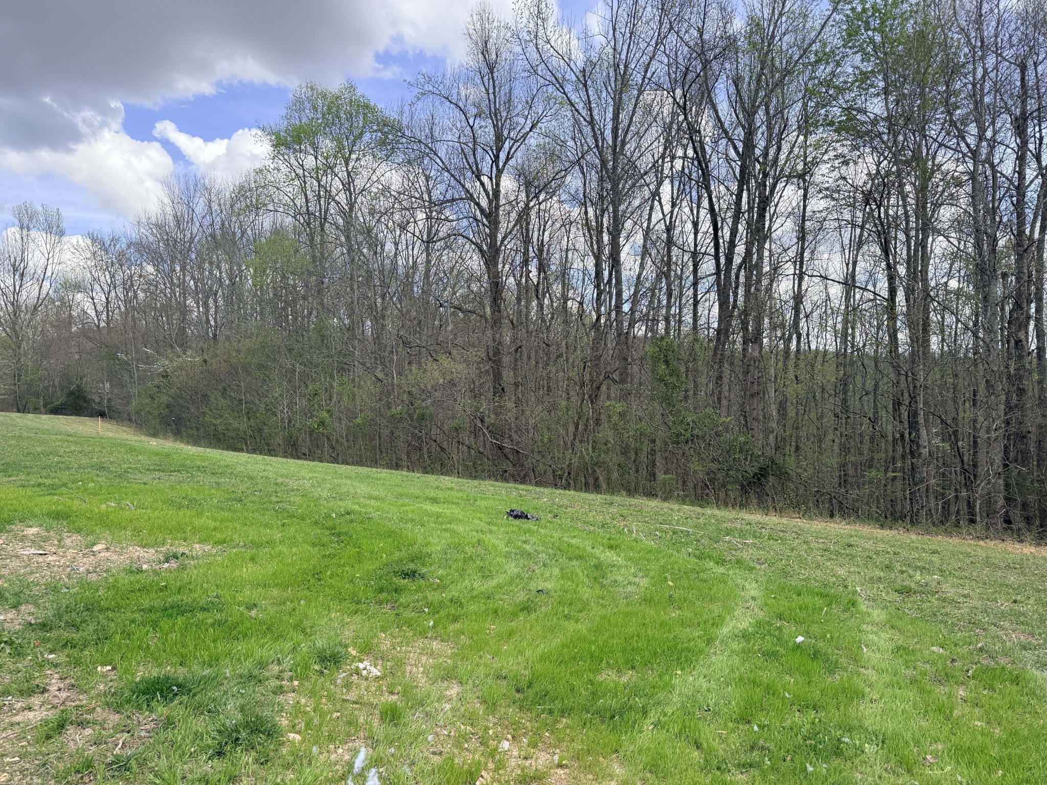 0 Sugar Tree Knob Road Liberty TN 37095