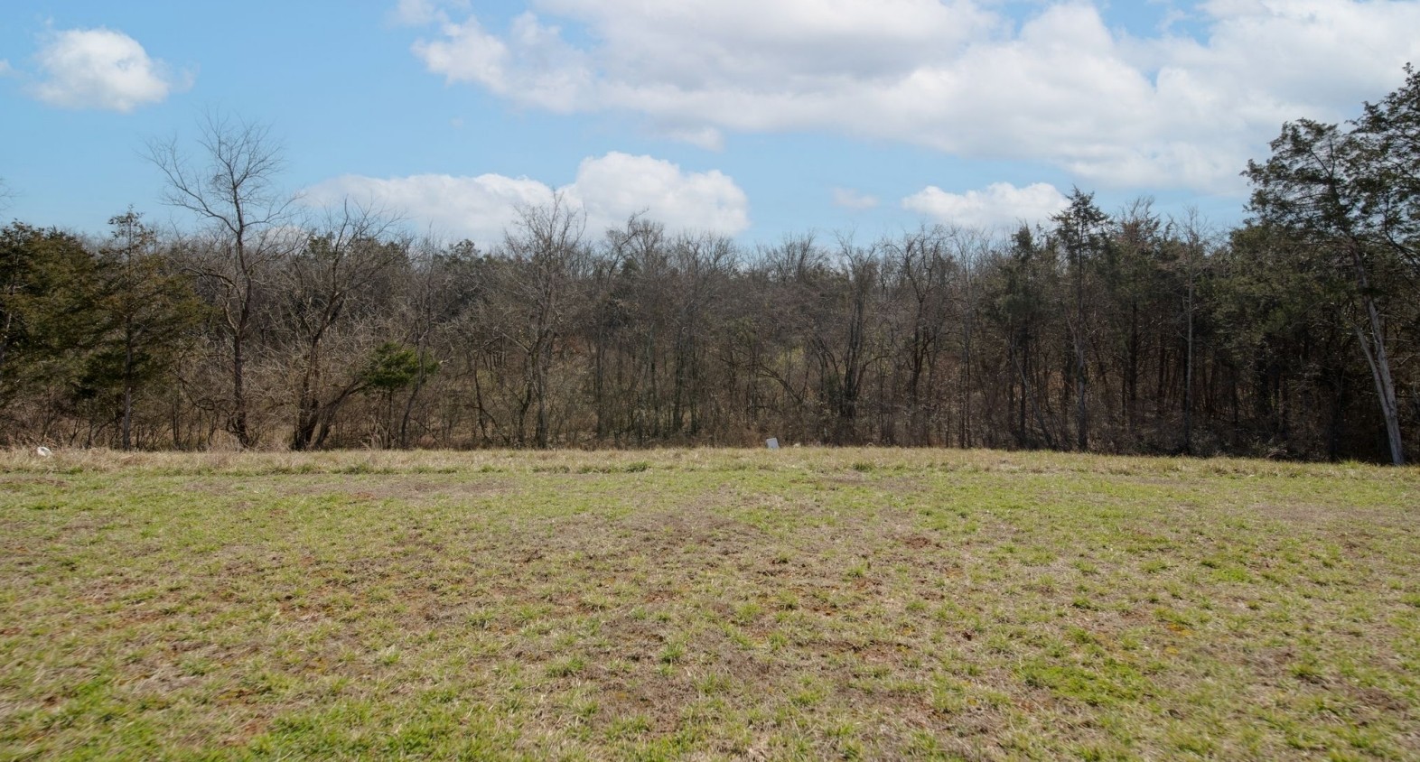 4165 Dolly Way Antioch TN 37013