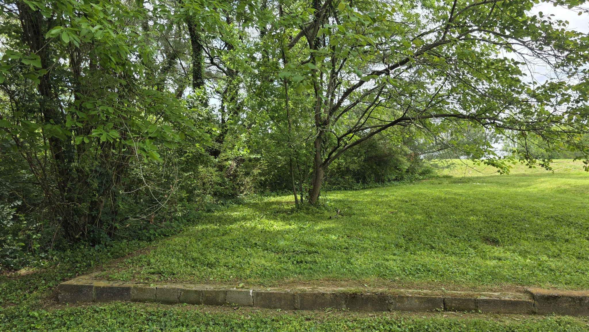 0 Lion Parkway Columbia TN 38401