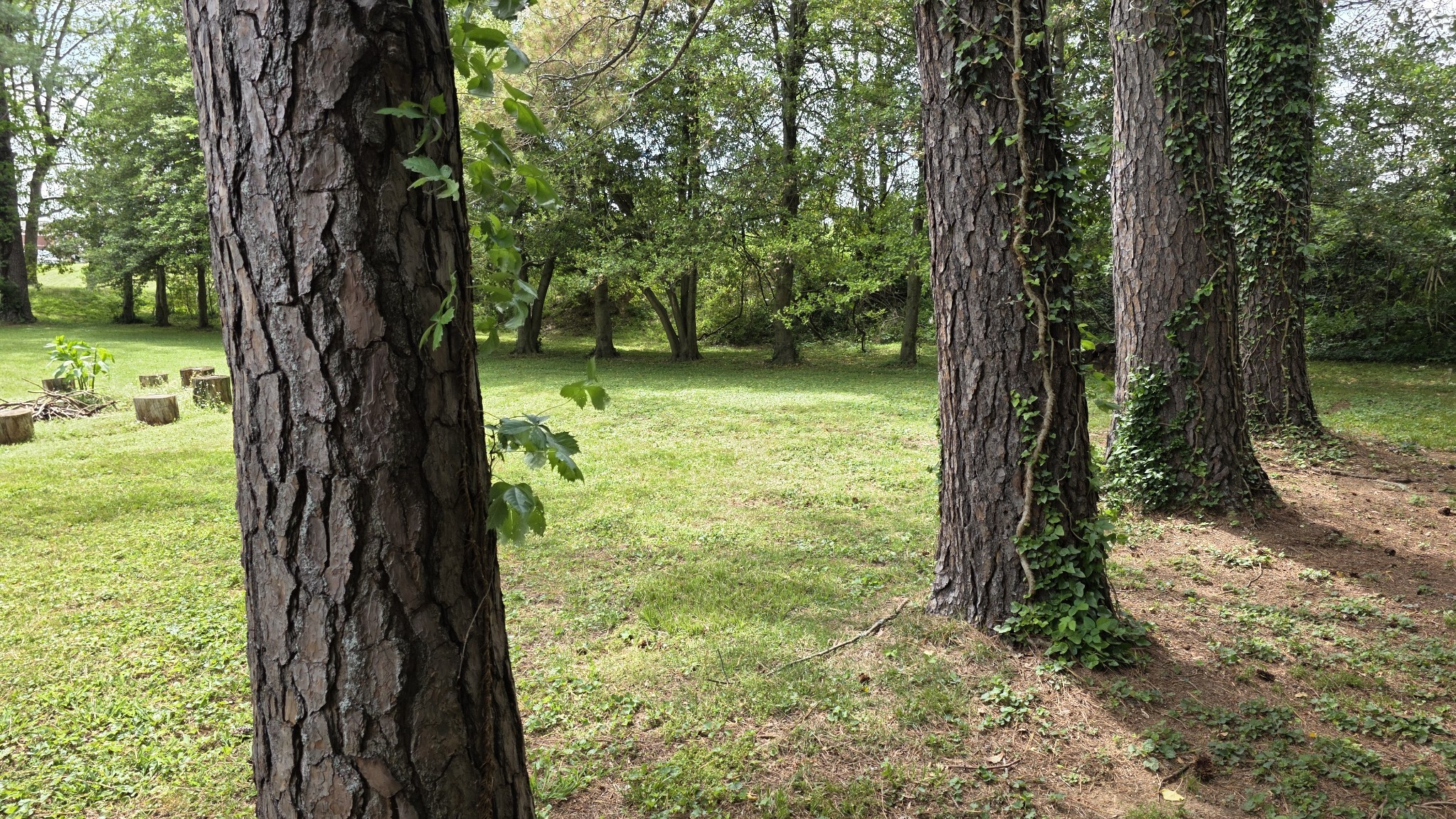 0 Lion Parkway Columbia TN 38401