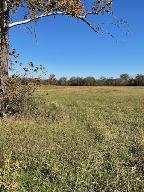 0 Old Nashville Dirt Road Shelbyville TN 37160
