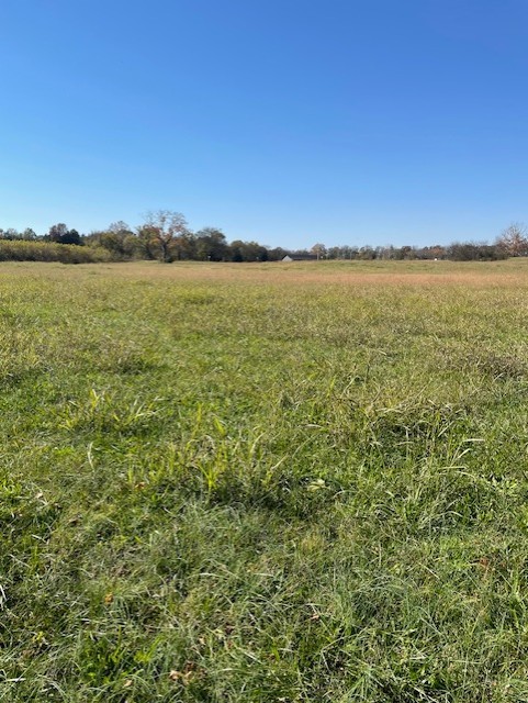 0 Old Nashville Dirt Road Shelbyville TN 37160