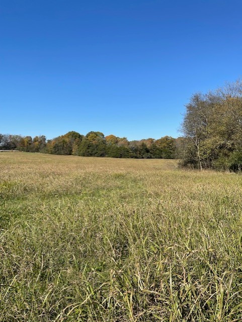 0 Old Nashville Dirt Road Shelbyville TN 37160