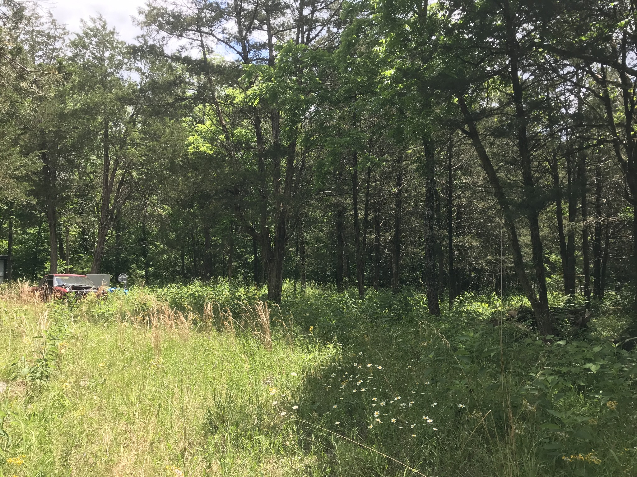 1989 Luther Sharp Road Columbia TN 38401