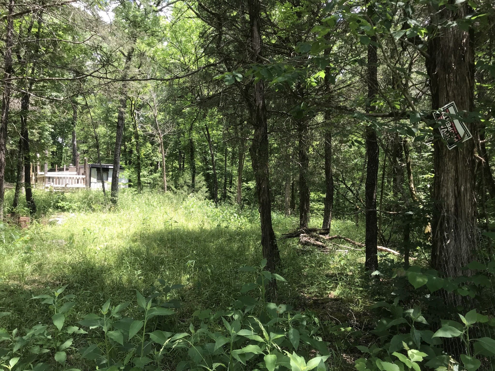 1989 Luther Sharp Road Columbia TN 38401