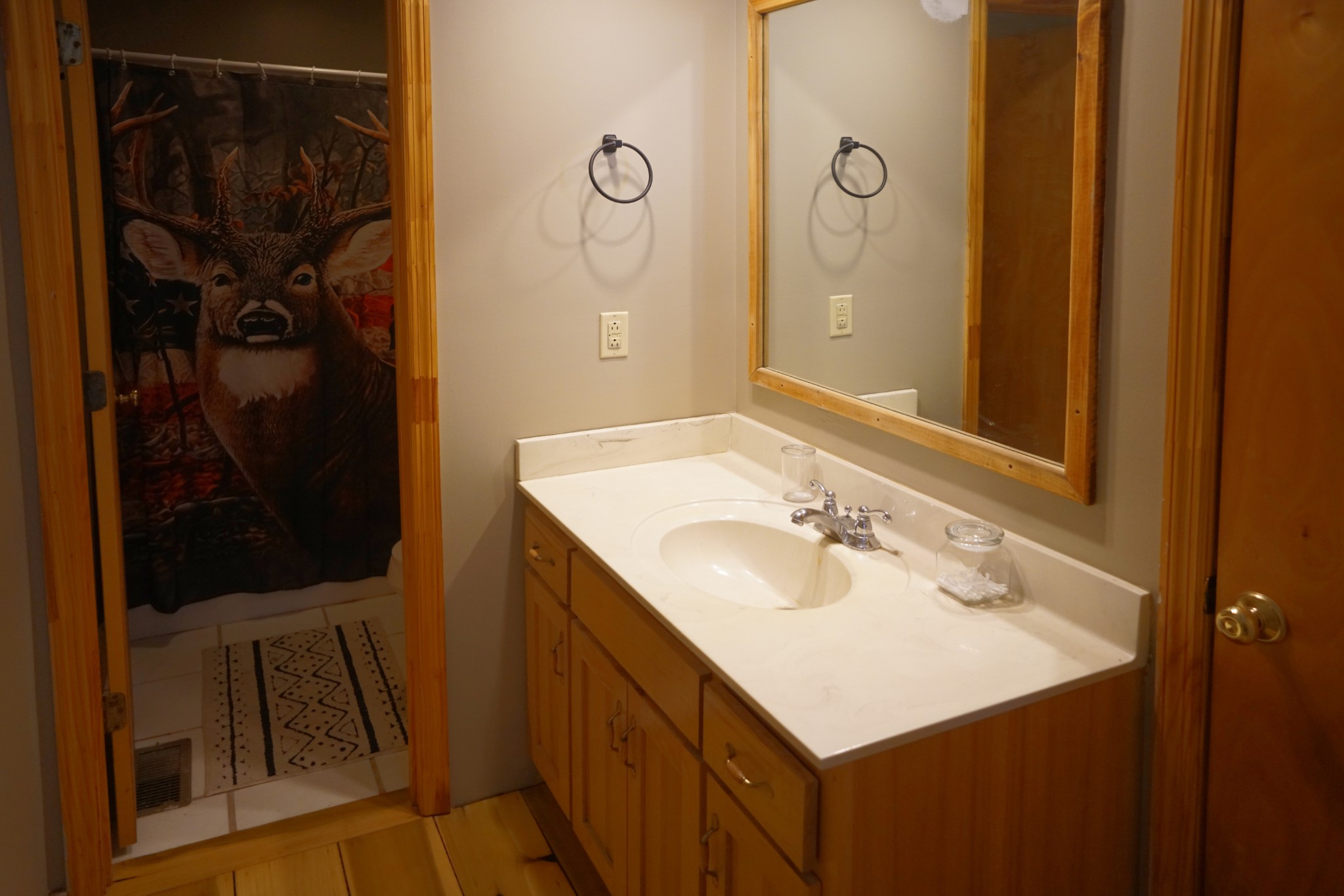 2300 Bear Creek Road Vanleer TN 37181