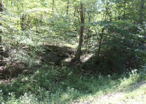 0 Jackson Cabin Road Kingston Springs TN 37082