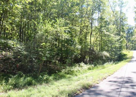 0 Jackson Cabin Road Kingston Springs TN 37082