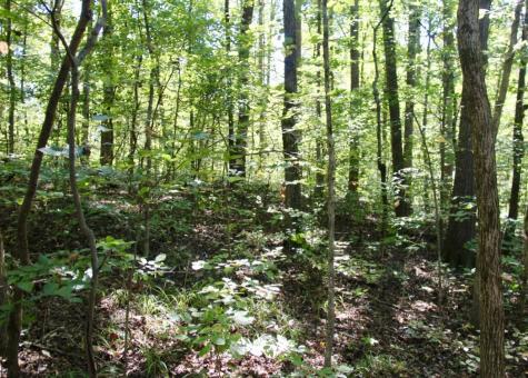 0 Jackson Cabin Road Kingston Springs TN 37082
