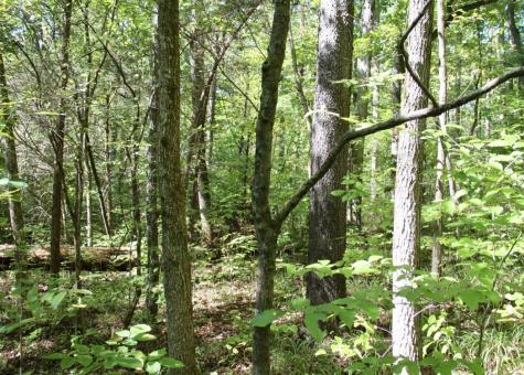 0 Jackson Cabin Road Kingston Springs TN 37082