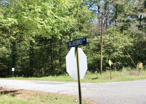 0 Jackson Cabin Road Kingston Springs TN 37082