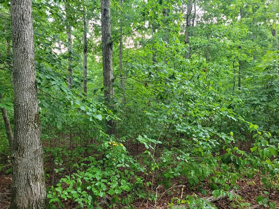 2 Haley Road Wartrace TN 37183