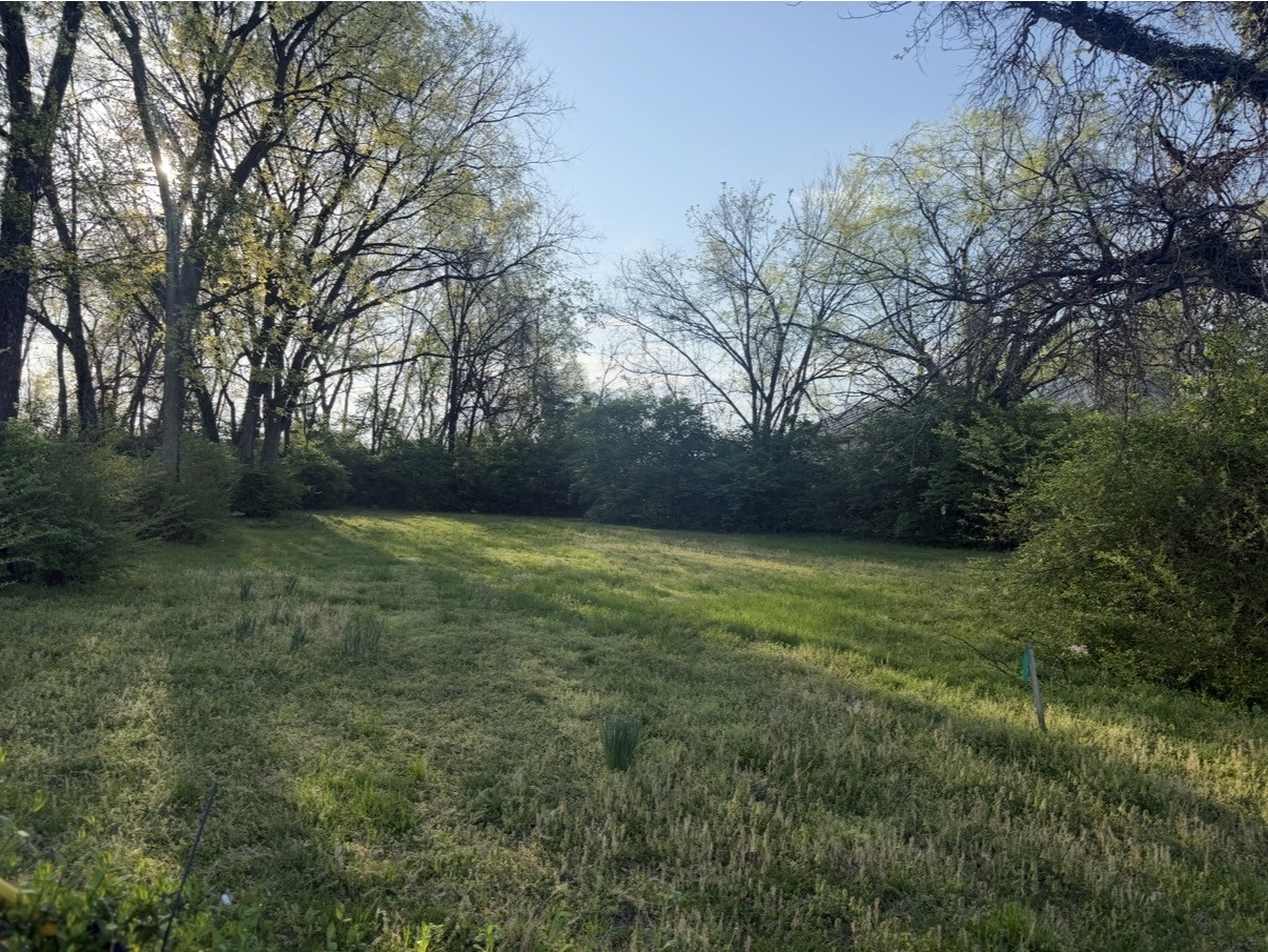 0 Dorothy Jordan Avenue Gallatin TN 37066
