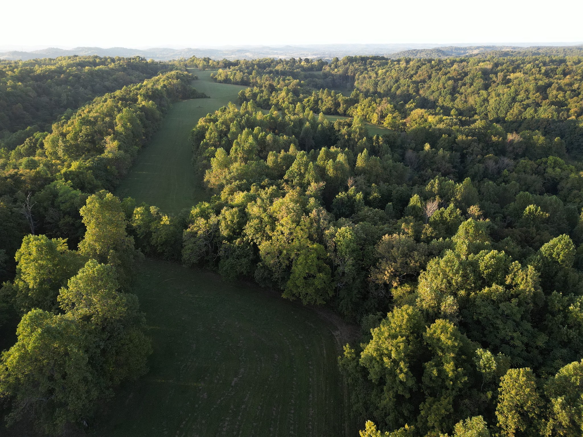 0 Lazy Branch Road Wartrace TN 37183