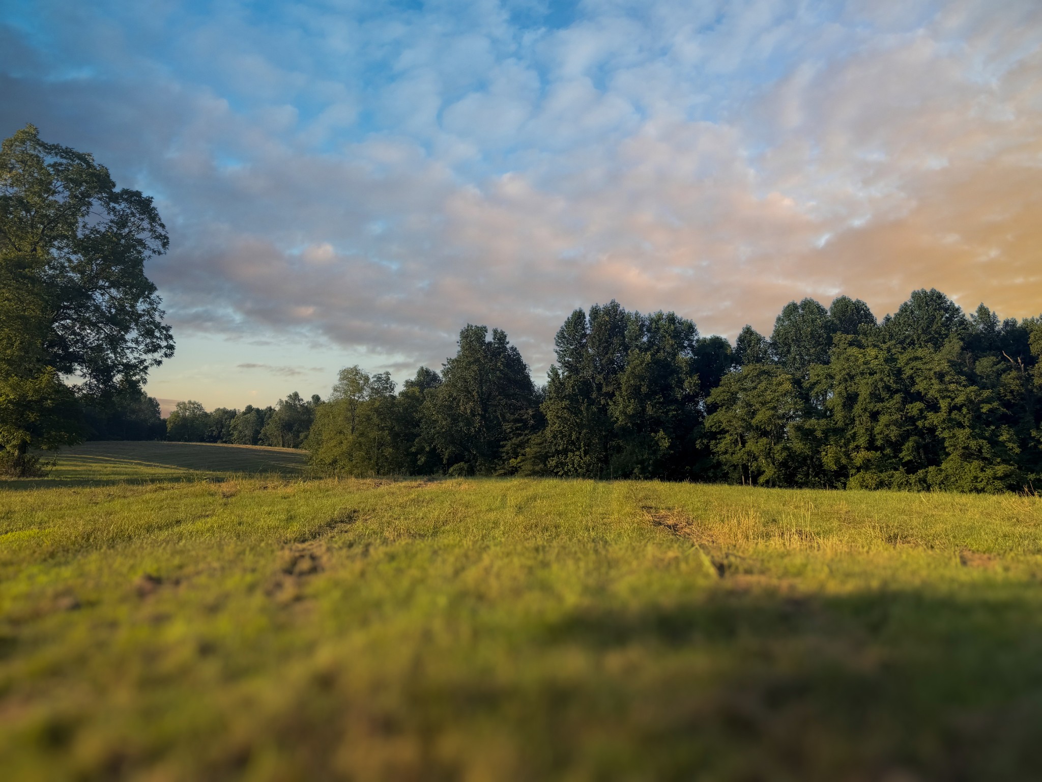 0 Lazy Branch Road Wartrace TN 37183
