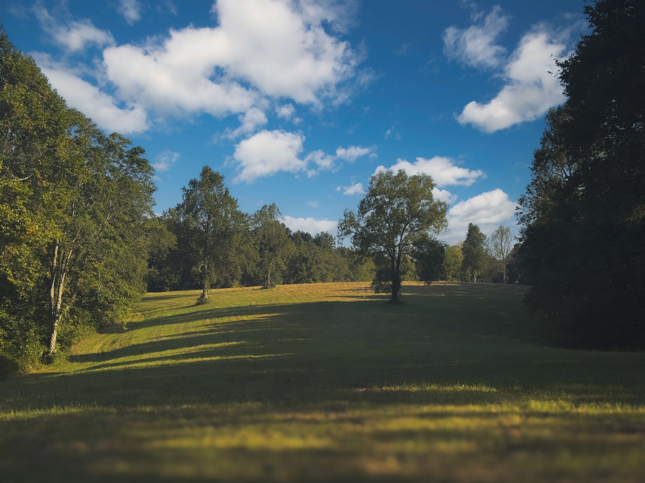 0 Lazy Branch Road Wartrace TN 37183