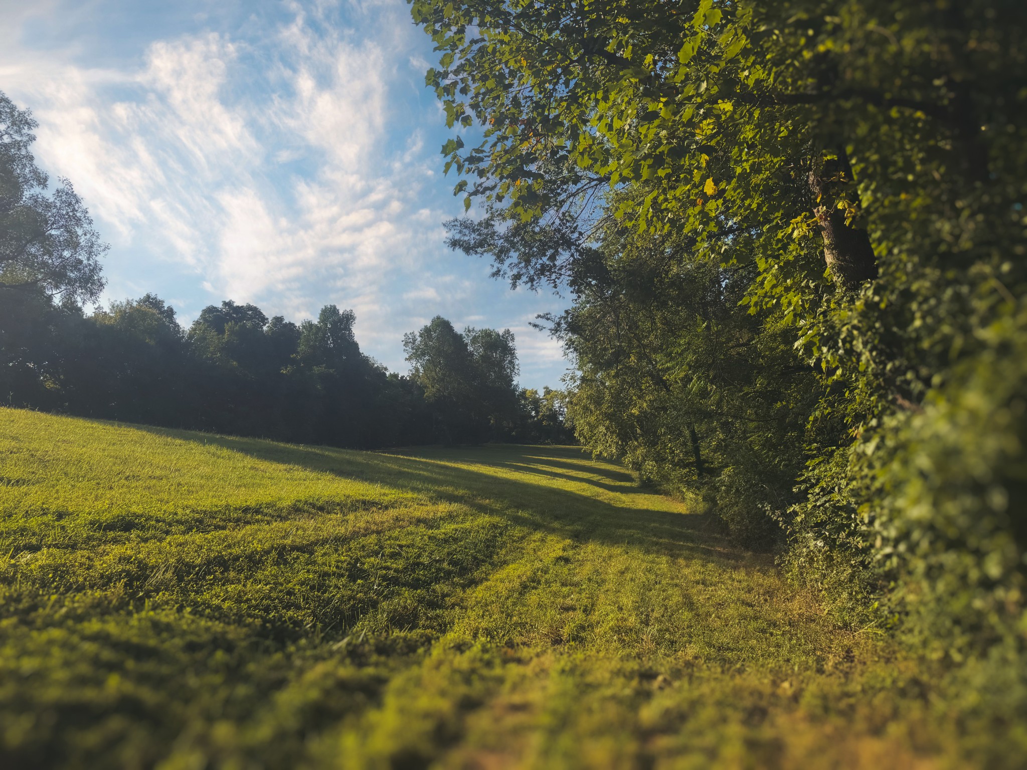 0 Lazy Branch Road Wartrace TN 37183