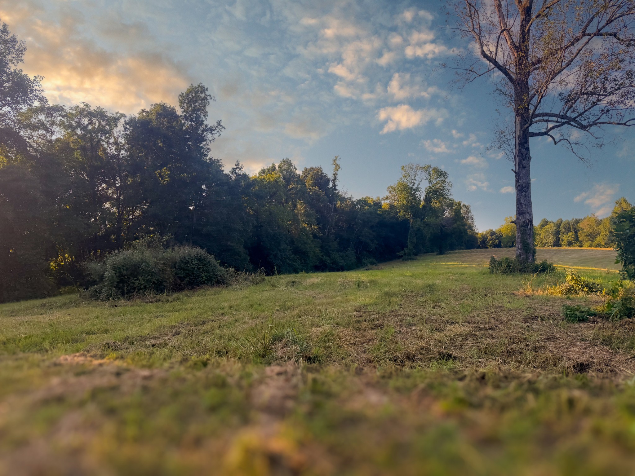 0 Lazy Branch Road Wartrace TN 37183