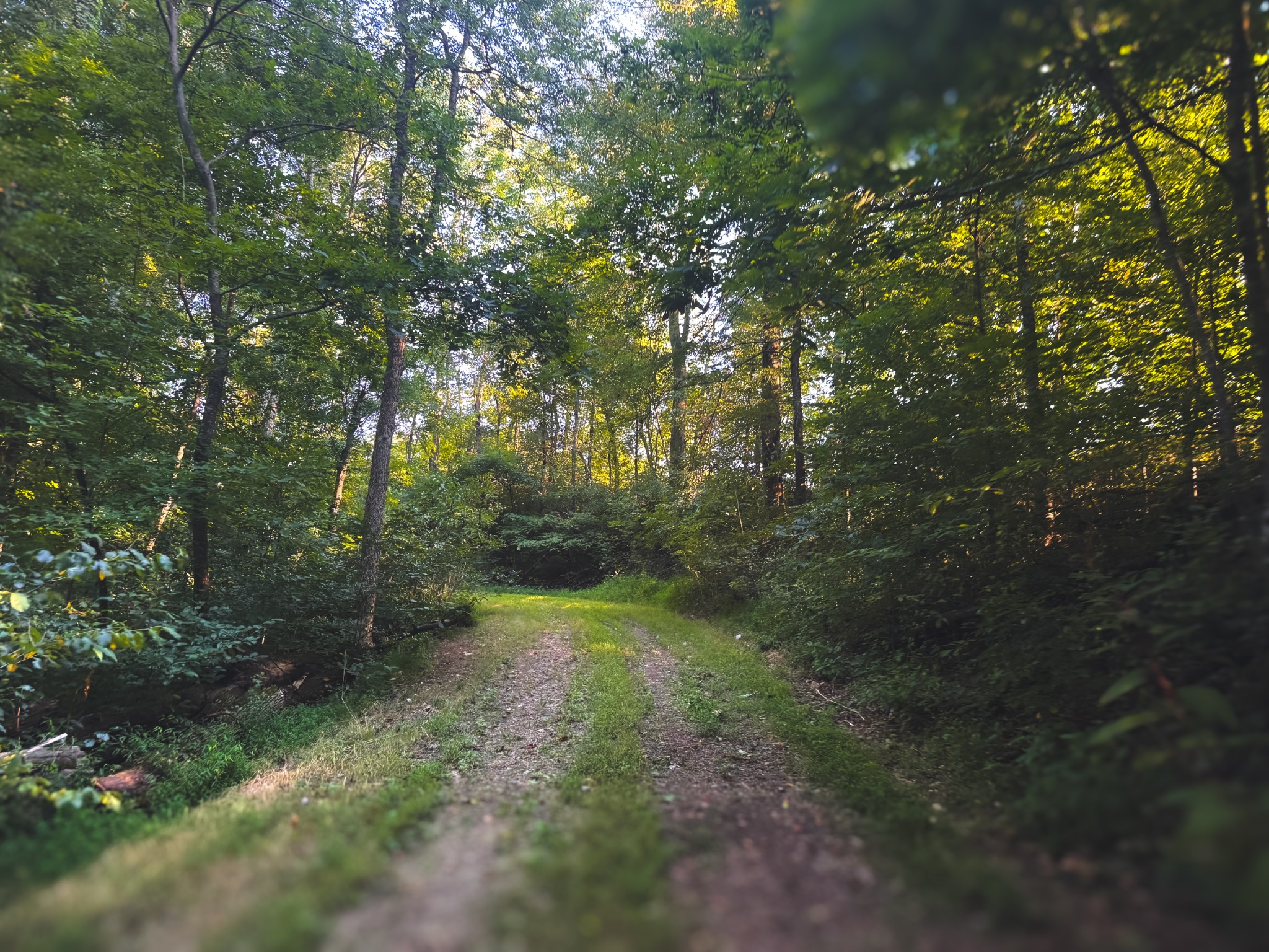 0 Lazy Branch Road Wartrace TN 37183