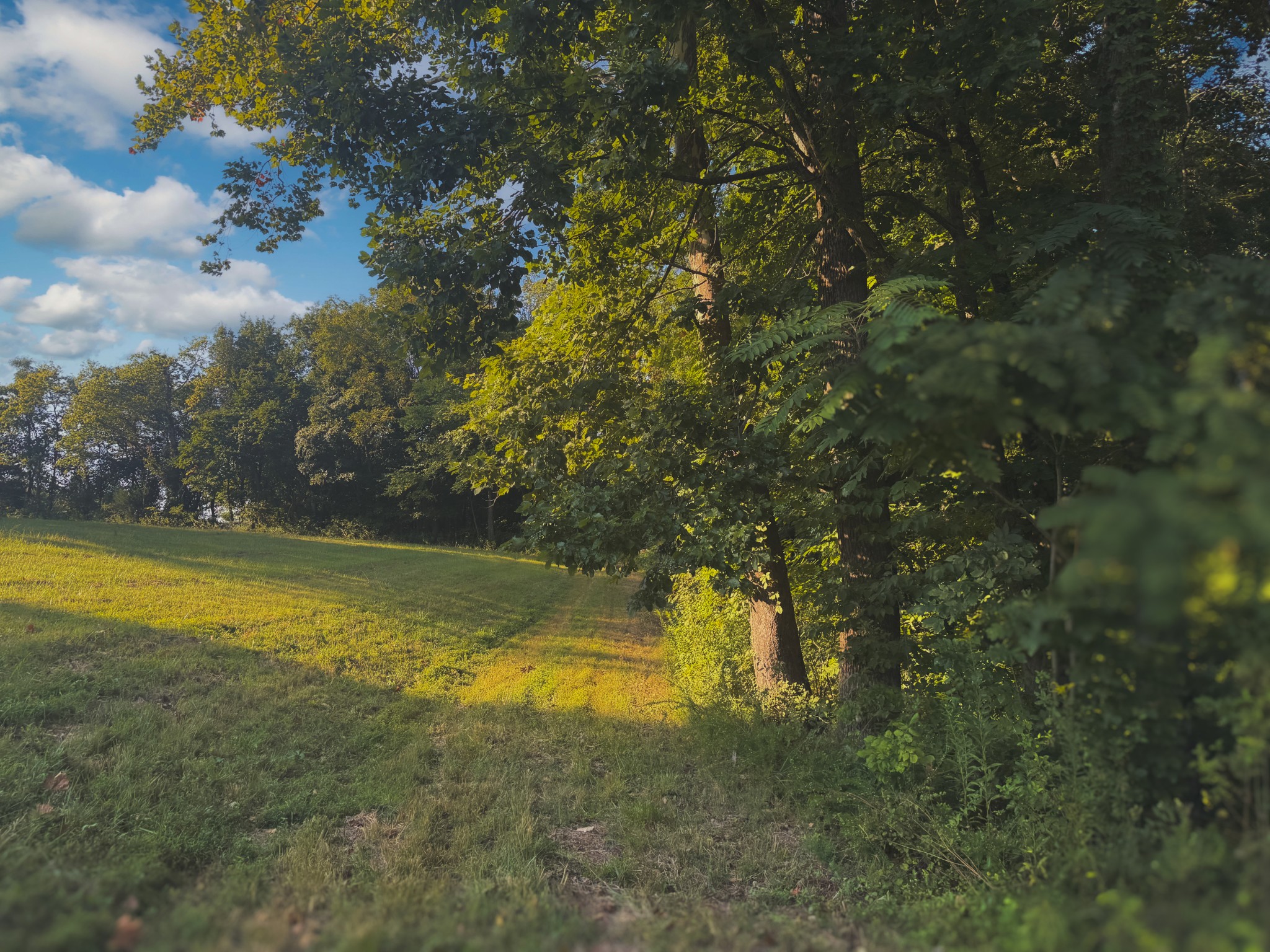 0 Lazy Branch Road Wartrace TN 37183