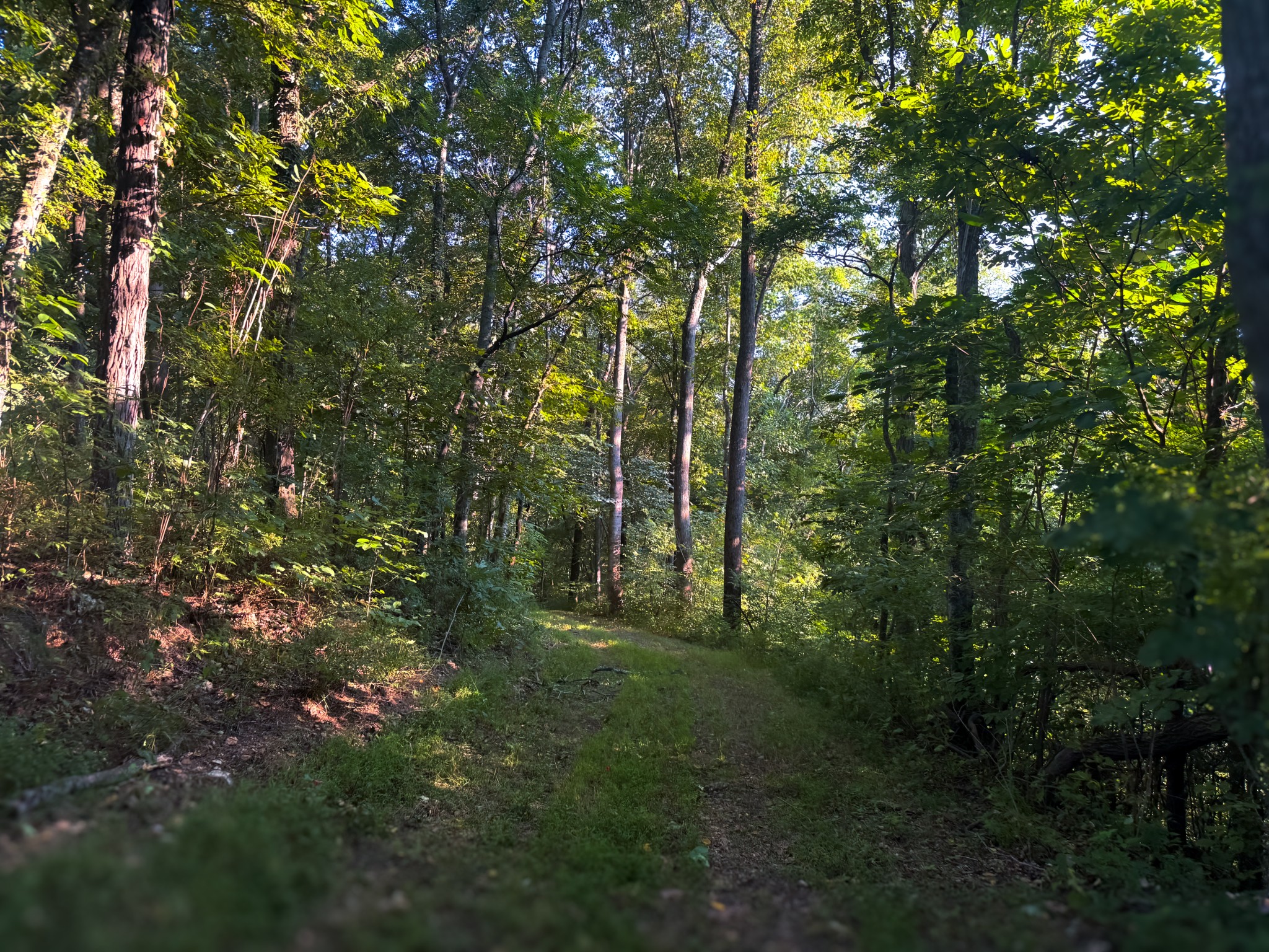 0 Lazy Branch Road Wartrace TN 37183