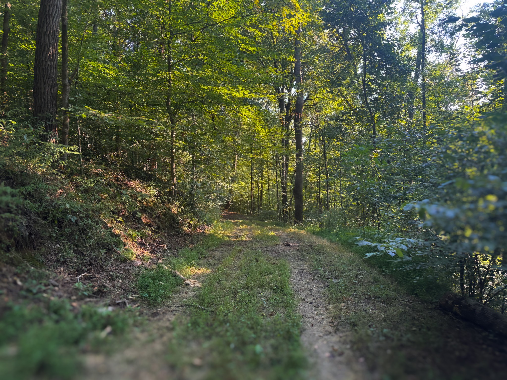 0 Lazy Branch Road Wartrace TN 37183