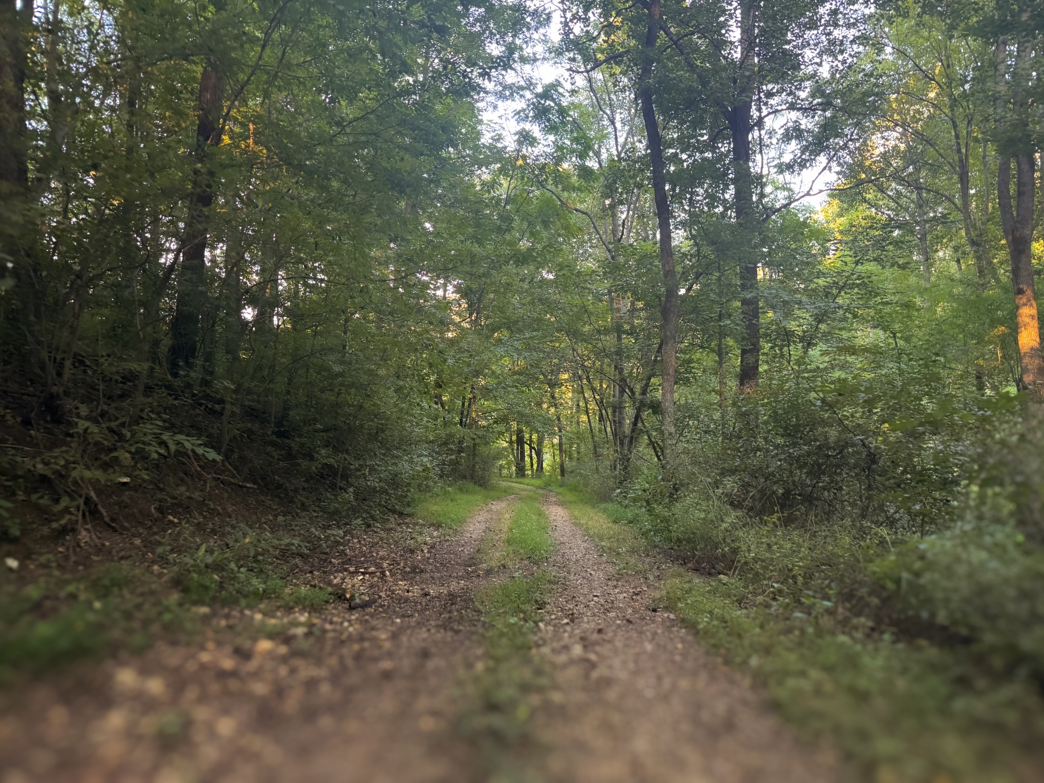 0 Lazy Branch Road Wartrace TN 37183