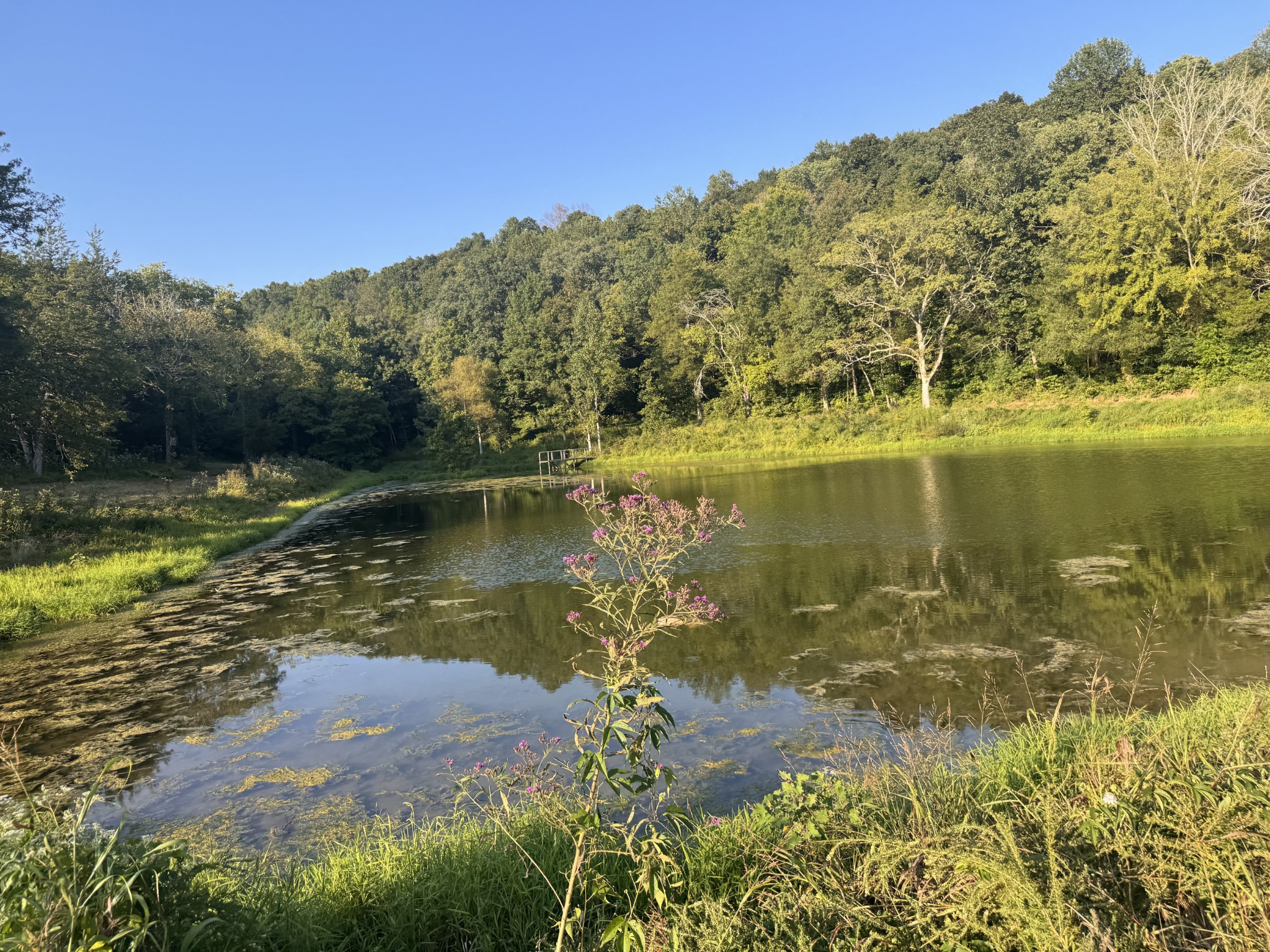0 Lazy Branch Road Wartrace TN 37183
