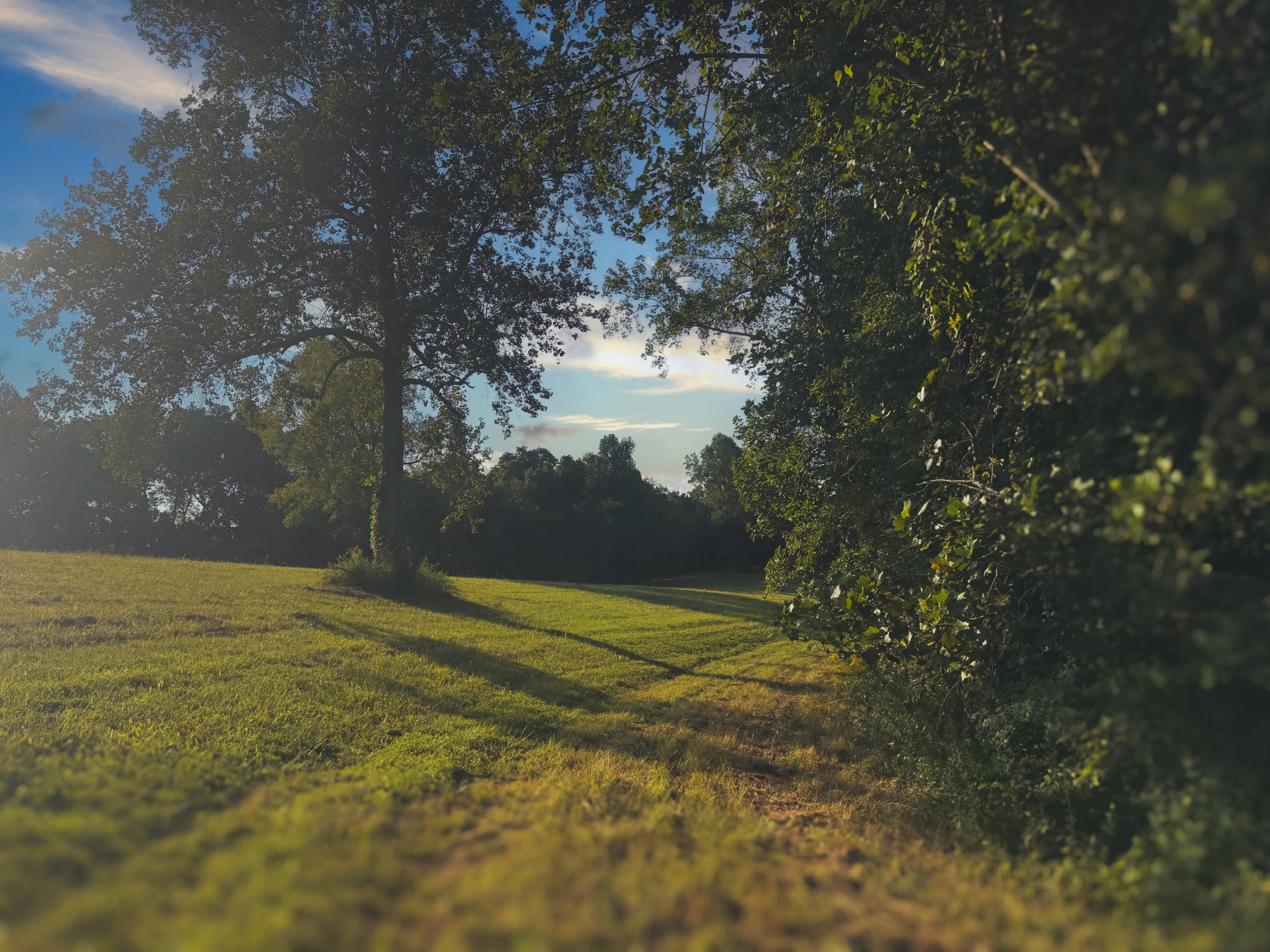 0 Lazy Branch Road Wartrace TN 37183