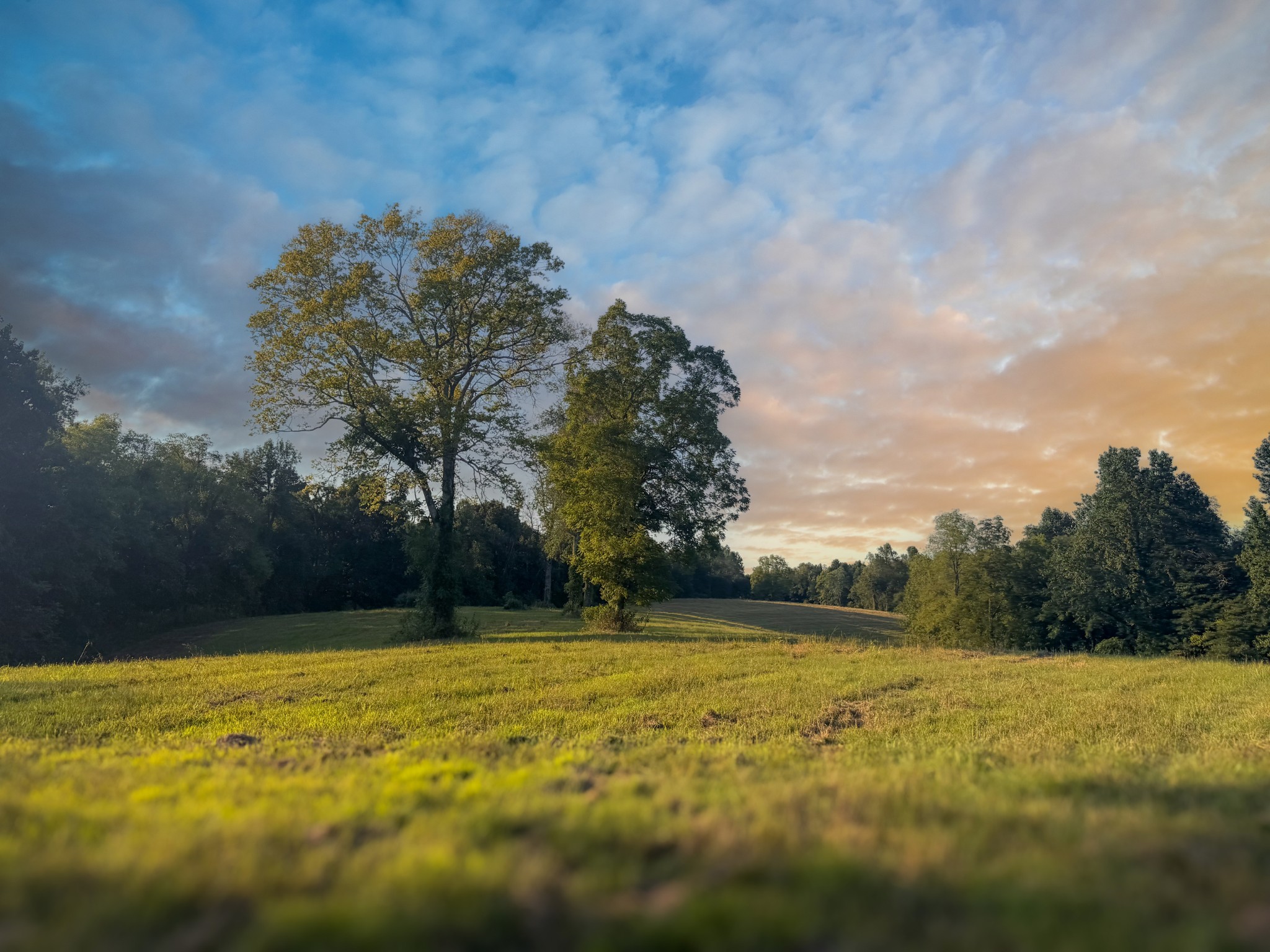 0 Lazy Branch Road Wartrace TN 37183