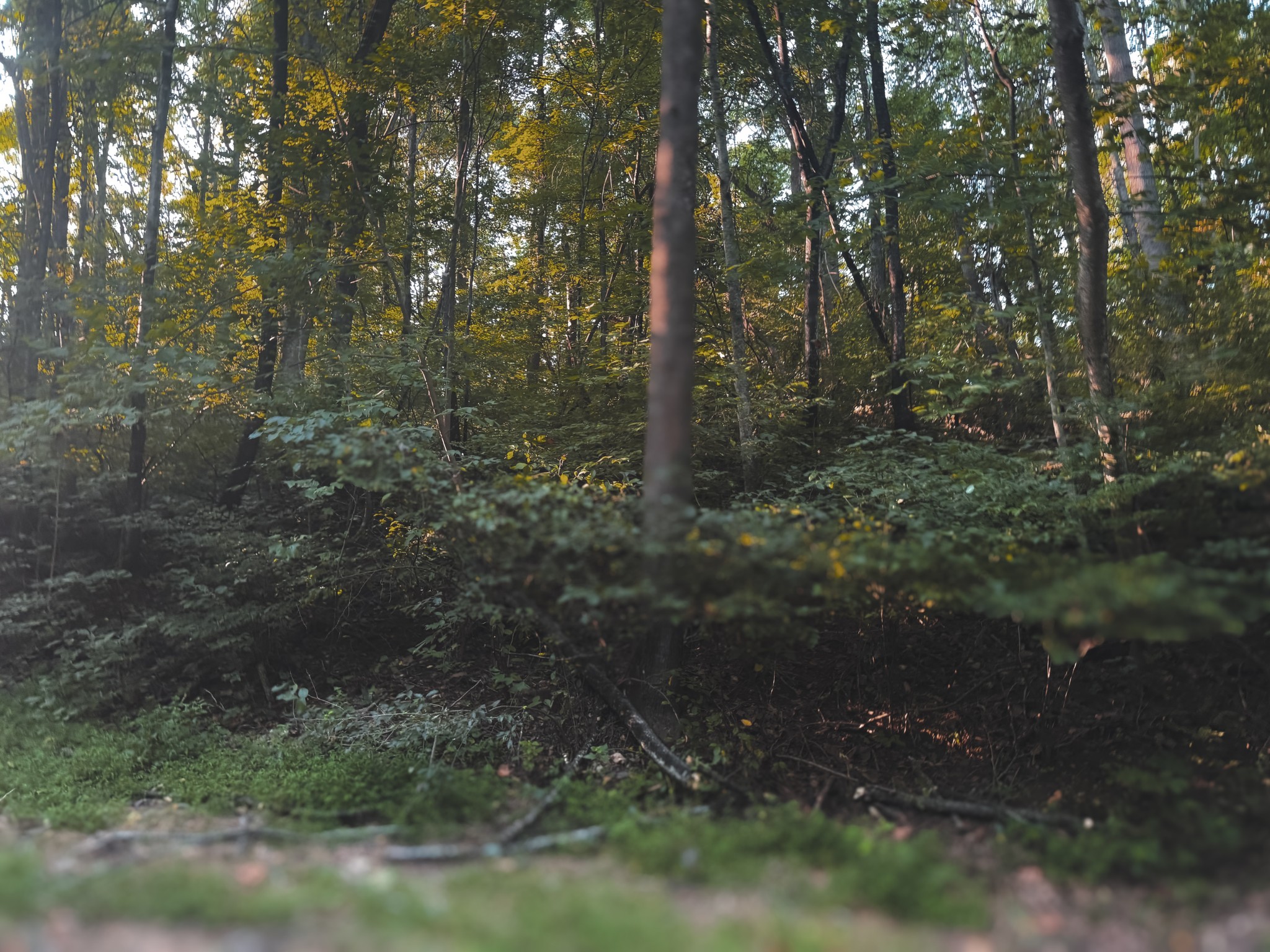 0 Lazy Branch Road Wartrace TN 37183
