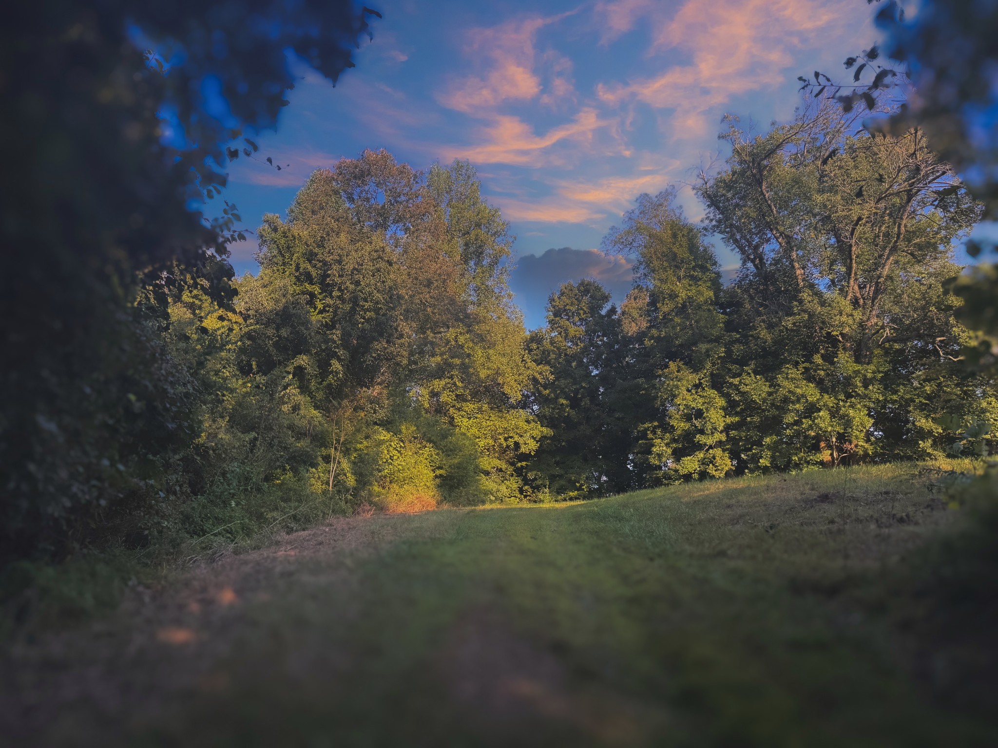 0 Lazy Branch Road Wartrace TN 37183