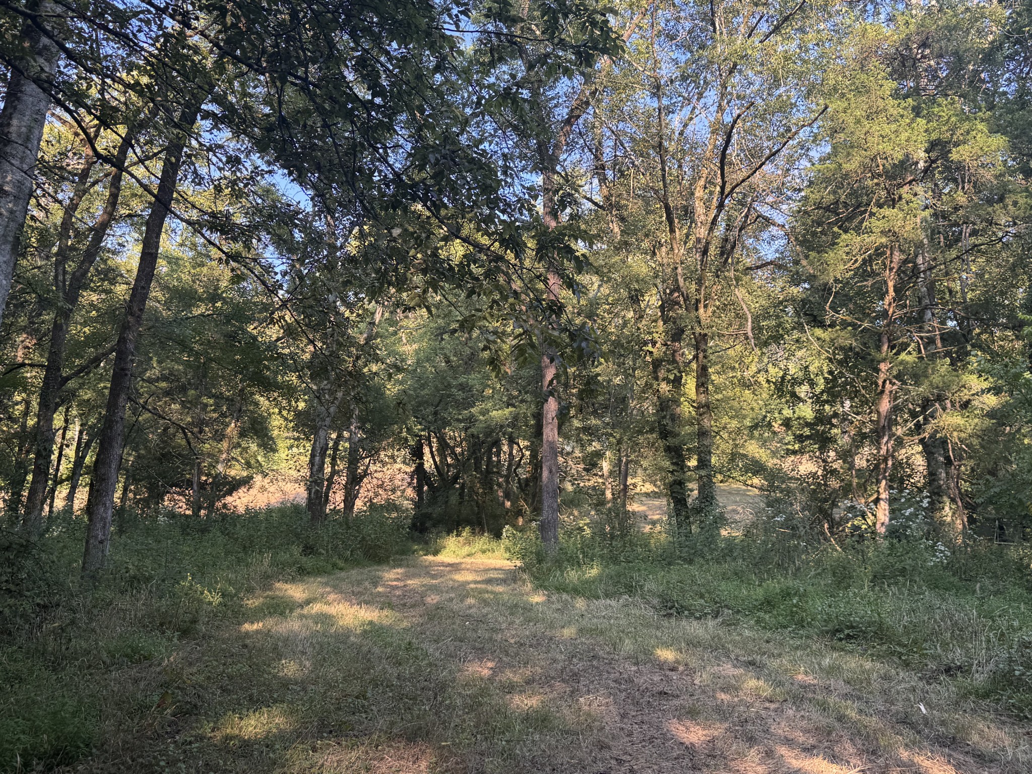 0 Lazy Branch Road Wartrace TN 37183
