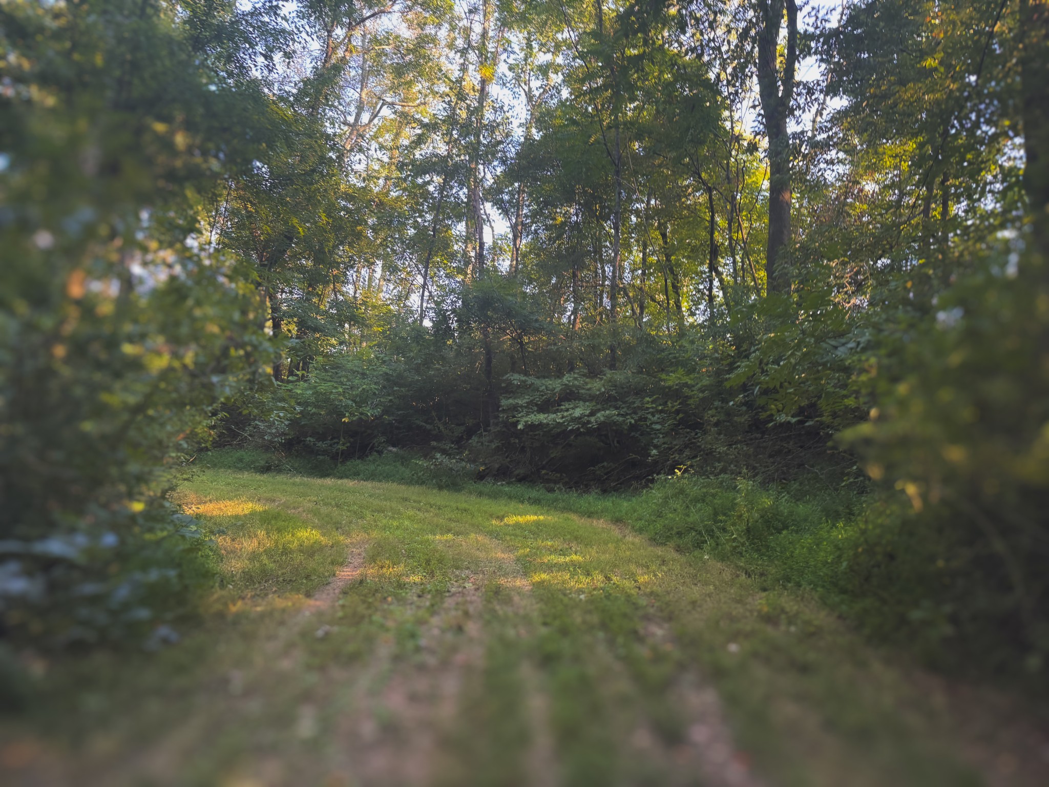 0 Lazy Branch Road Wartrace TN 37183